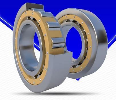P2 精密型円筒式ローラーローヤリング オープンシール付き 双列