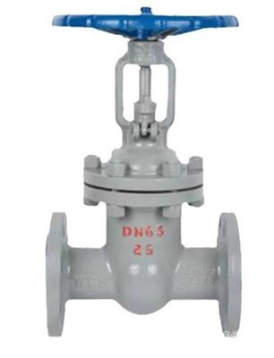 アルミ合金 定製 鋳造 部品 DN125 Z41H-16C ゲート バルブ フレンズ 硬密封 保険 ISO/TS16949 2009 柔らかい鉄